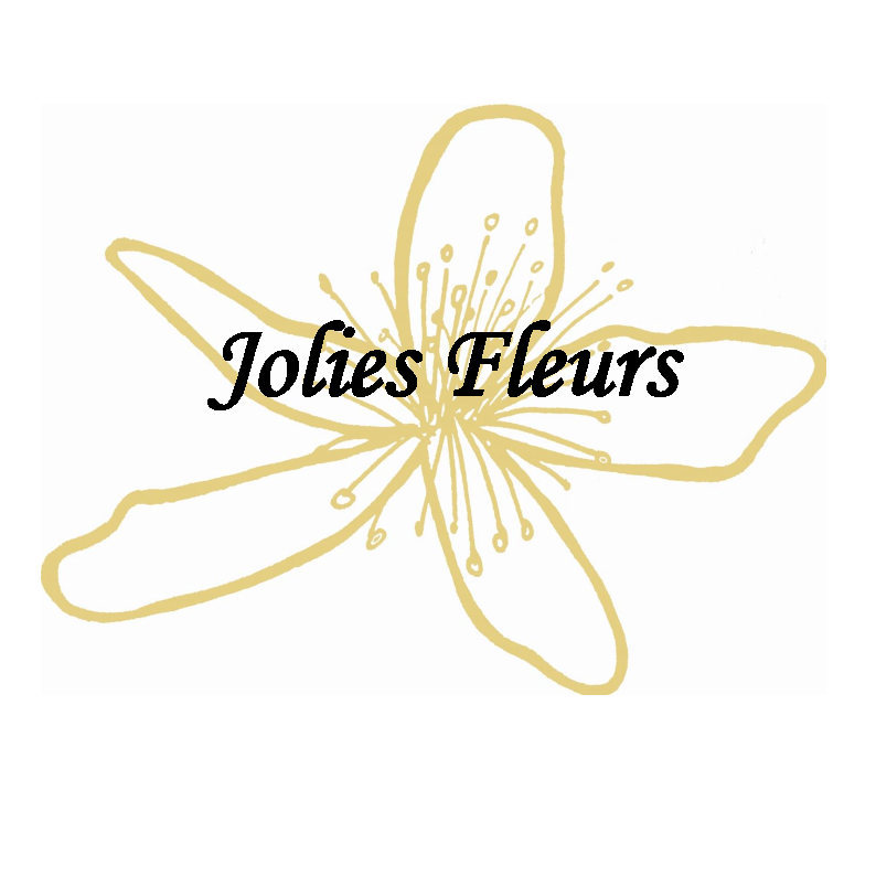 Logo Jolie Fleurs