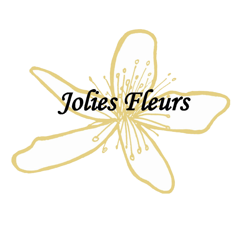 Logo_Jolie_Fleurs_01